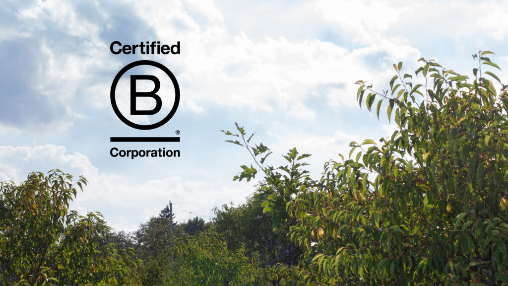 Das B-Corporation-Logo mit der Aufschrift „Certified B Corporation“ vor einem Hintergrund aus grünem Laub und blauem Himmel mit Wolken.